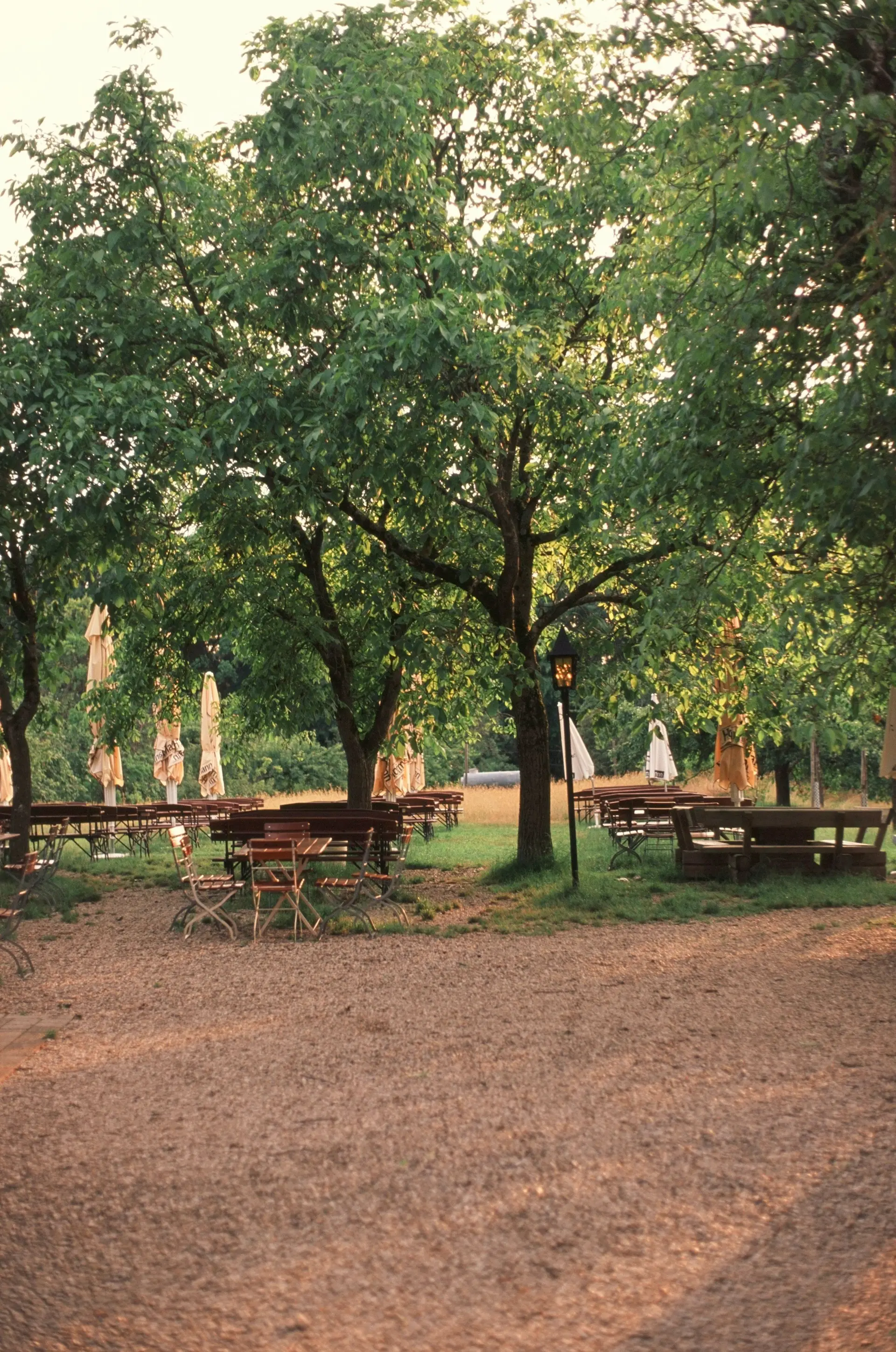 Biergarten mit Holztischen und eingeklappten Sonnenschirmen im Schatten großer Bäume