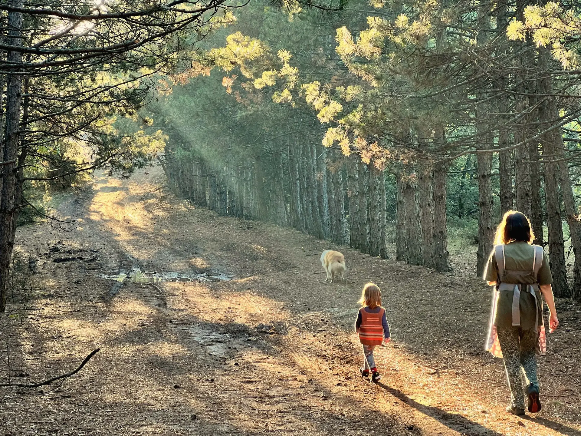 Mutter und Kind auf einem sandigen Waldweg zwischen Kiefern